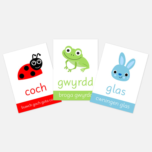 Animal Colours Toddler Flashcards (Welsh)-Little Boo Learning-A6,black,blue,Colours,Flashcards,green,normal,pink,purple,red,white,yellow